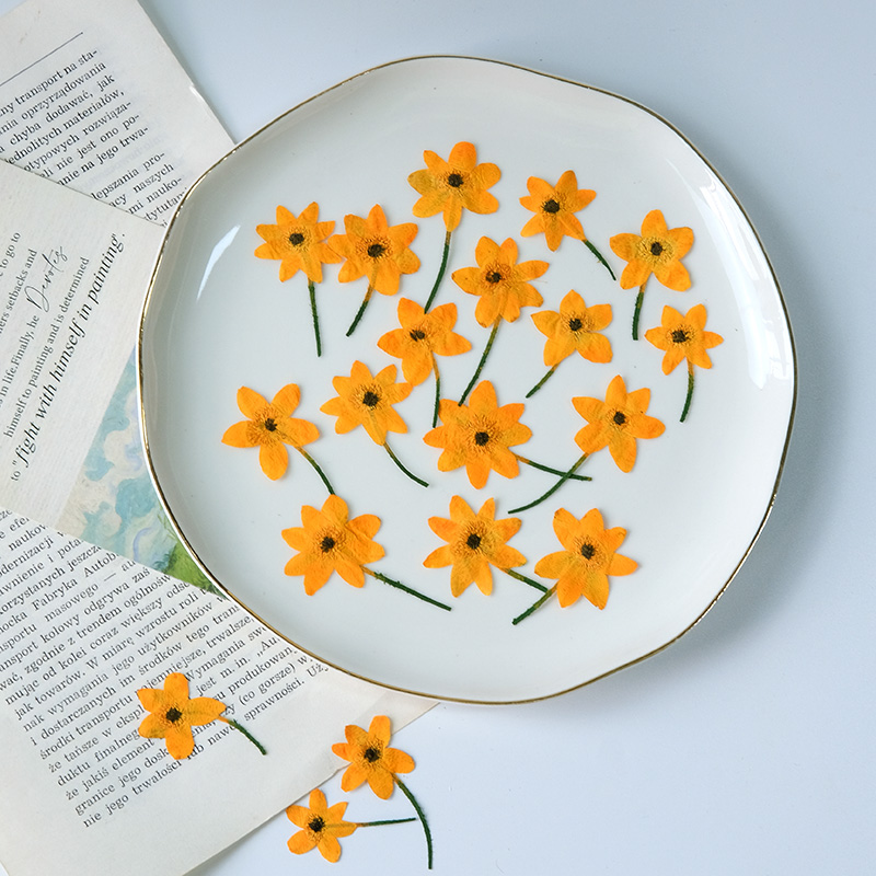5-7 см/16 шт., Натуральные пре – обзор и цена Dried Flower Bookmark