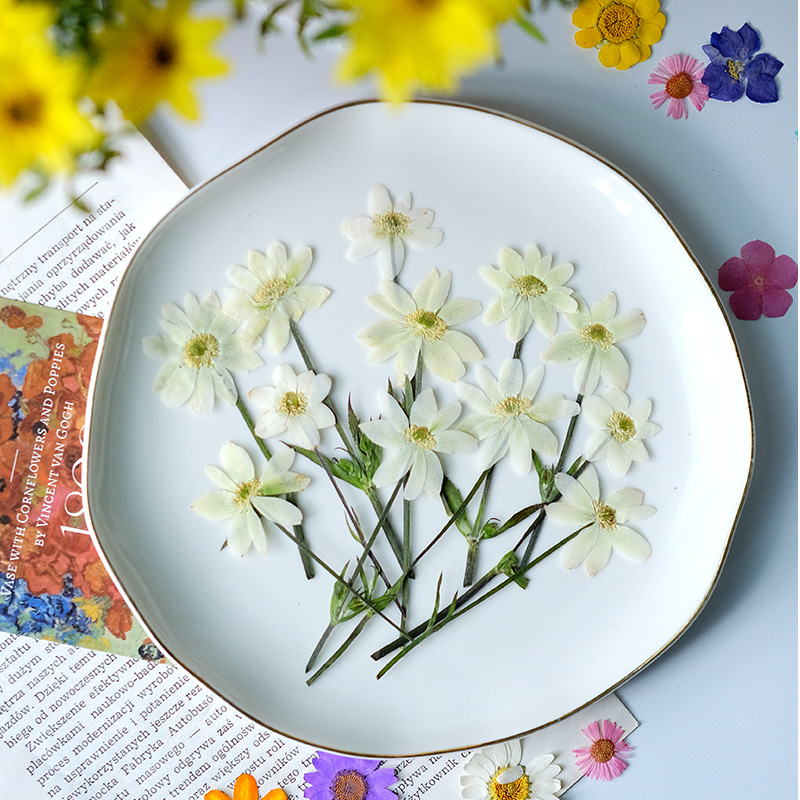 5-7 см/16 шт., Натуральные пре – обзор и цена Dried Flower Bookmark