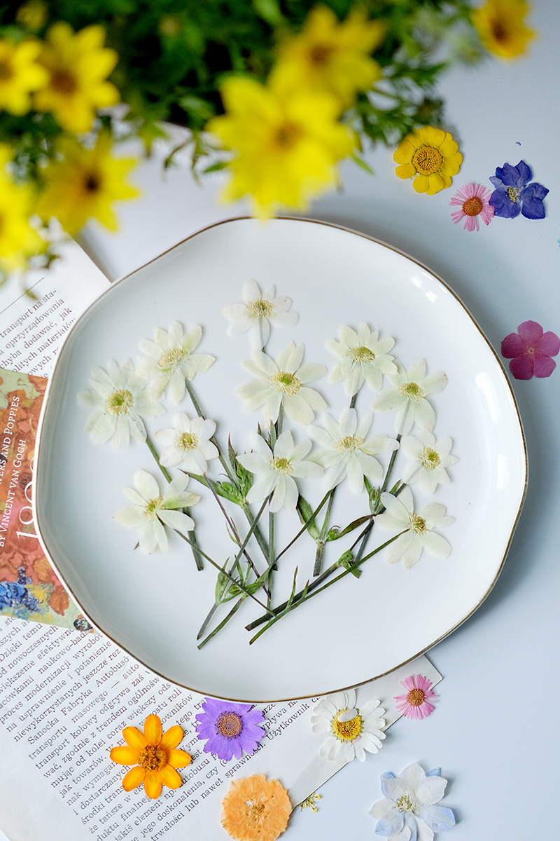5-7 см/16 шт., Натуральные пре – обзор и цена Dried Flower Bookmark